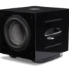 REL Acoustics Carbon Special - 12-Inch Powered Subwoofer
